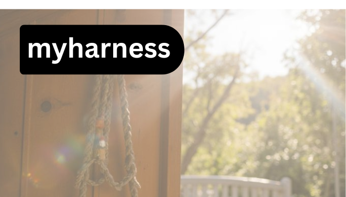 MyHarness: A Practical Guide to Fit, Comfort, and Real-World Safety